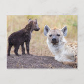 Hyena met jonge briefkaart (Voorkant)