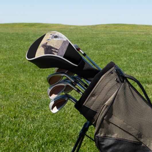 Hyena met jonge golfheadcover (Insitu)