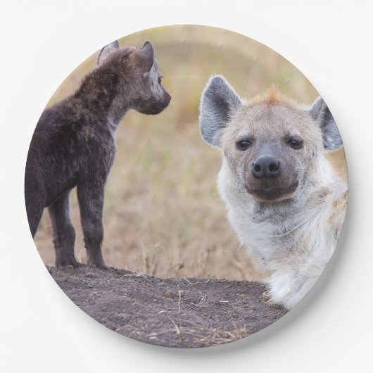 Hyena met jonge papieren bordje (Voorkant)