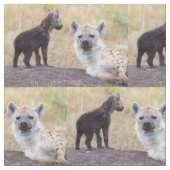 Hyena met jonge stof (Close Up)