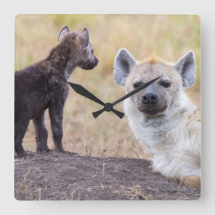 Hyena met jonge vierkante klok