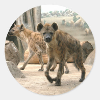 Hyena neemt een kijkje Sticker
