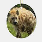 Hyena Ornament (Links)