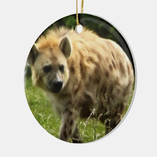 Hyena Ornament (Links)