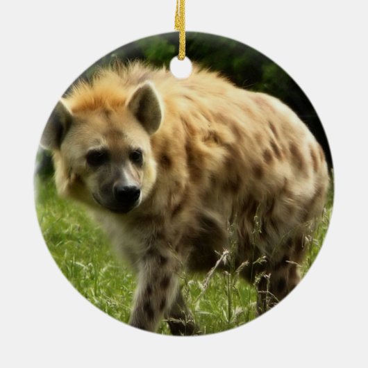 Hyena Ornament (Achterkant)