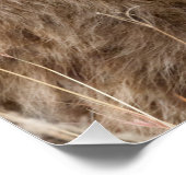 Hyena Perfect Poster (Hoek)