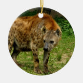 Hyena Prowl Ornament (Voorkant)