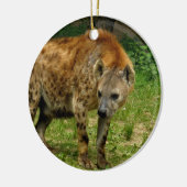 Hyena Prowl Ornament (Links)