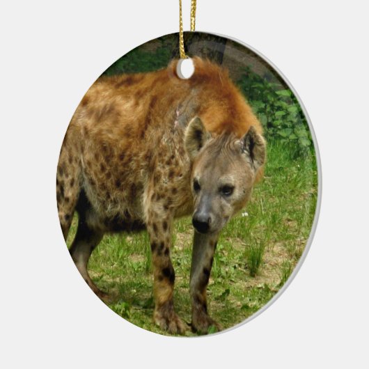 Hyena Prowl Ornament (Links)