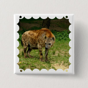 Hyena Prowl Square Pin Vierkante Button 5,1 Cm