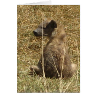 Hyena Pup