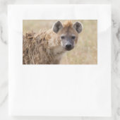 Hyena Rechthoekige Sticker (Tas)