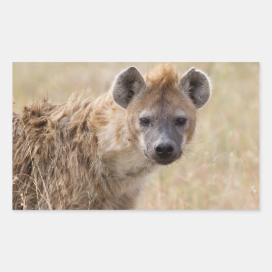Hyena Rechthoekige Sticker (Voorkant)