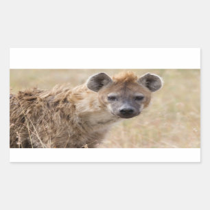 Hyena Rechthoekige Sticker