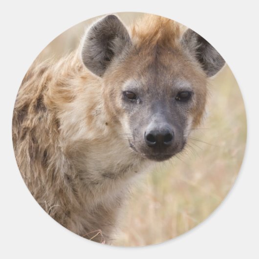 Hyena Ronde Sticker (Voorkant)