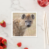 Hyena Servet (Insitu)