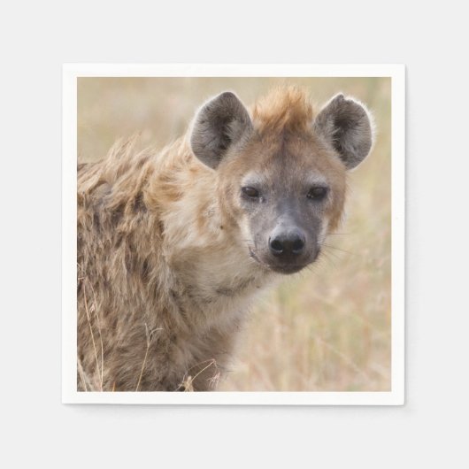 Hyena Servet (Voorkant)