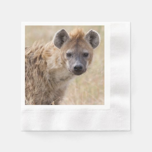 Hyena Servet (Voorkant)