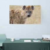 Hyena Spandoek (Beurs)