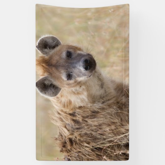 Hyena Spandoek (Verticaal)