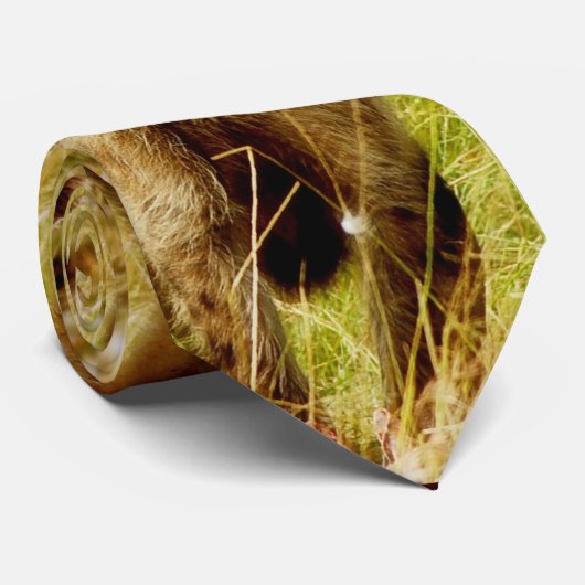 Hyena stropdassen (Opgerold)