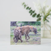 Hyena Wildlife of Africa Briefkaart (Staand voorkant)