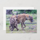 Hyena Wildlife of Africa Briefkaart (Voorkant / Achterkant)