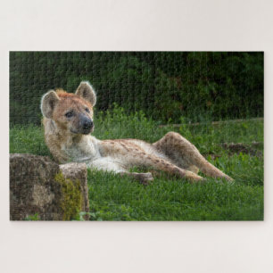 Hyena's Bliss Vastleggen van de glimlach van de Na Legpuzzel