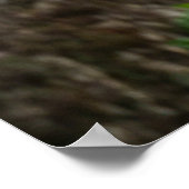 Hyena's Bliss Vastleggen van de glimlach van de Na Poster (Hoek)