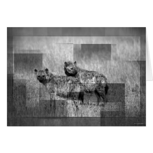 Hyenas Kaart (Voorkant Horizontaal)
