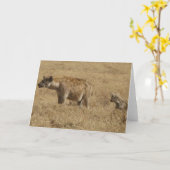 Hyena's Kaart (Gele Bloem)