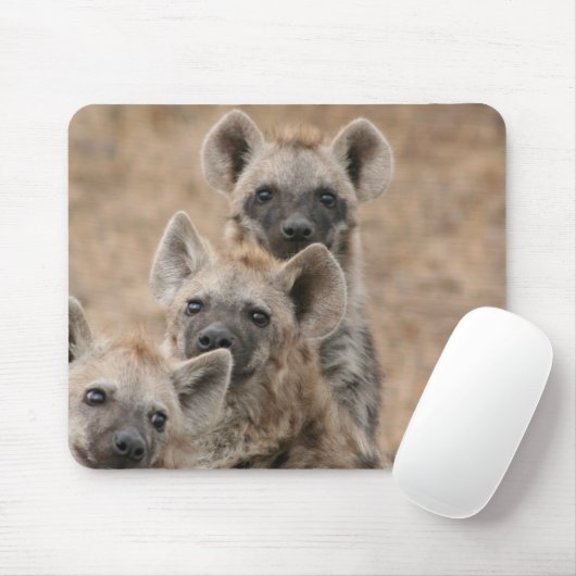 Hyenas Muismat (Met muis)