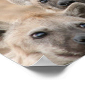 Hyenas Poster afdrukken (Hoek)