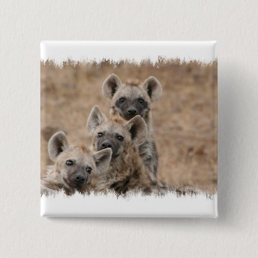Hyenas Square Pin Vierkante Button 5,1 Cm (Voorkant)