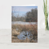 "Hyland Lake Ducks #1" - Hartelijk dank Kaart (Voorkant)