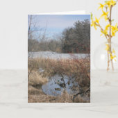 "Hyland Lake Ducks #1" - Hartelijk dank Kaart (Gele Bloem)