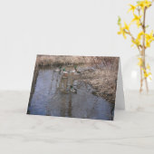 "Hyland Lake Ducks #2" Hartelijk dank Kaart (Gele Bloem)