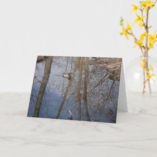 "Hyland Lake Mallard #1" - Hartelijk dank Kaart (Gele Bloem)