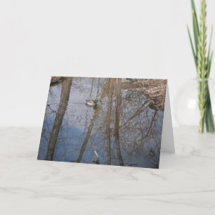 "Hyland Lake Mallard #1" - Hartelijk dank Kaart