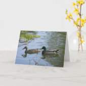 "Hyland May Day Mallards #2" Hartelijk dank! Kaart (Gele Bloem)