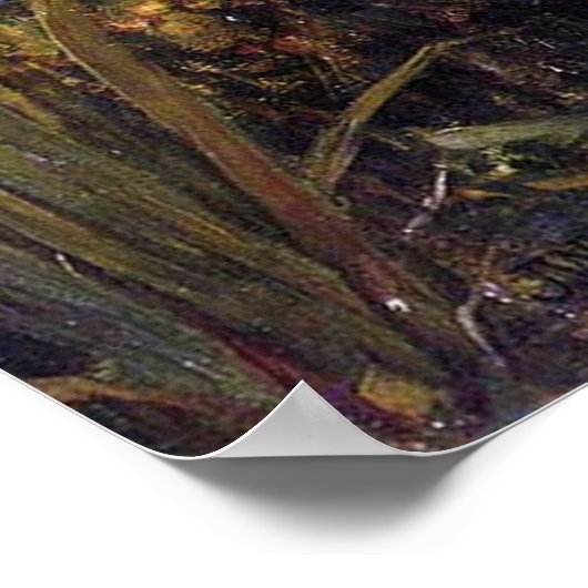 Hylas en de Nymphs, door John William Waterhouse Poster (Hoek)