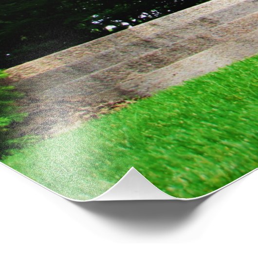 "Hymns in de wind" Foto Afdruk (Hoek)