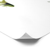 Hyoscyamus niger (Black Henbane) Poster (Hoek)