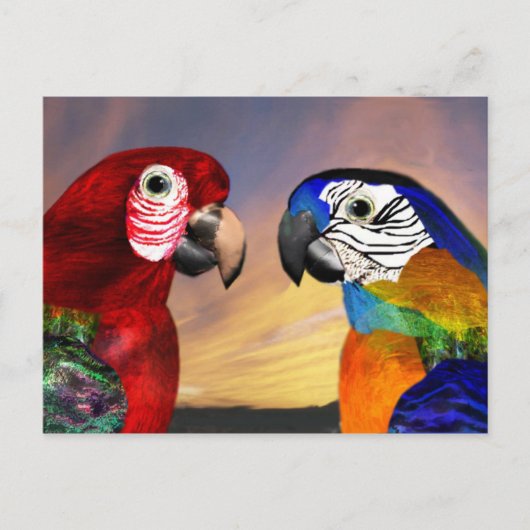 HYPER DELEN / RODE EN BLAUWE ARA BRIEFKAART (Voorkant)