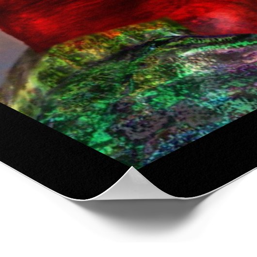 HYPER DELEN / RODE EN BLAUWE ARA POSTER (Hoek)