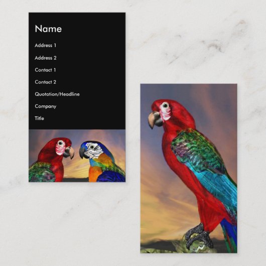 HYPER DELEN / RODE EN BLAUWE ZONE, zwart Visitekaartje (Voorkant / Achterkant)