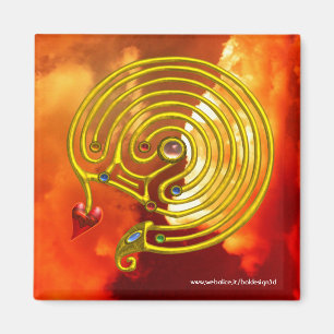 HYPER LABYRINTH MAGNEET