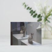 Hyper Lynx draait (a)doorsnee Briefkaart (Staand voorkant)