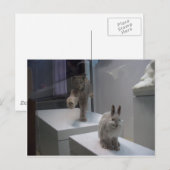 Hyper Lynx draait (a)doorsnee Briefkaart (Voorkant / Achterkant)