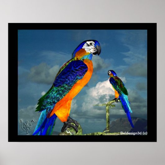 HYPER PAPEGAAIEN / BLAUWE ARA POSTER (Voorkant)
